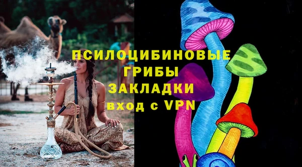 спайс Елизово