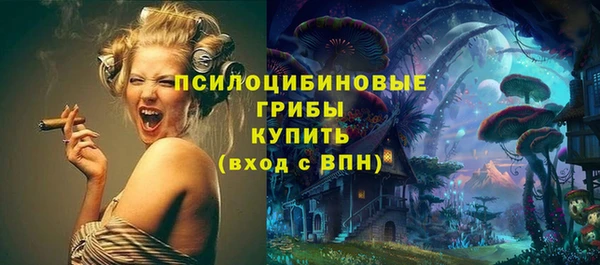 mix Ельня