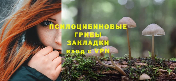mix Ельня
