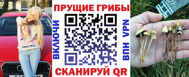 Псилоцибиновые грибы GOLDEN TEACHER  Купить закладки  Черногорск 