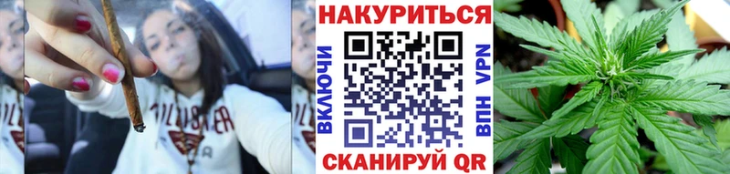 Купить где  Черногорск  Шишки марихуана SATIVA & INDICA 